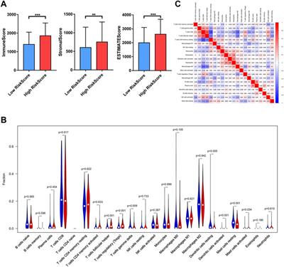 Comprehensive Analysis of the Butyrate-Metabolism-Related Gene Signature in Tumor Microenvironment-Infiltrating Immune Cells in Clear Cell Renal Cell Carcinoma